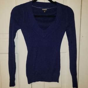 Express Navy V-Neck Sweater